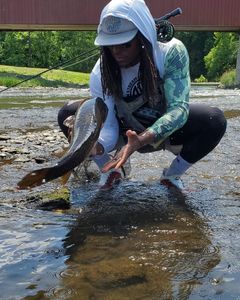 Caught in Action! Fly Fishing for Carp